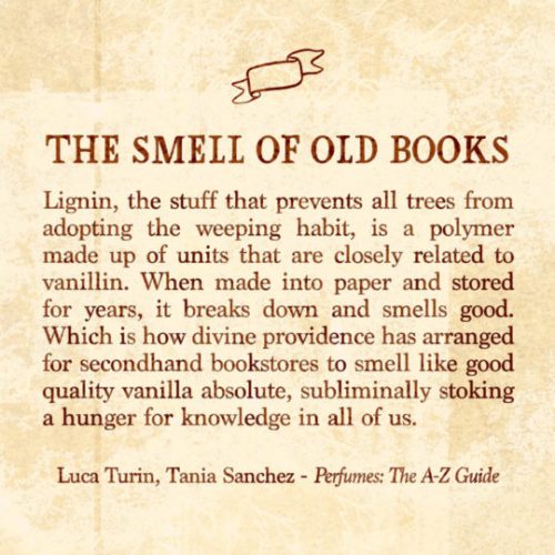 The-smell-of-old-books-explained-540x540